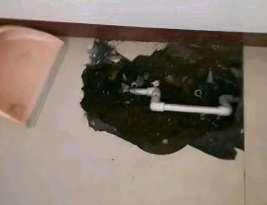 扎赉特旗卫生间测漏水多少钱